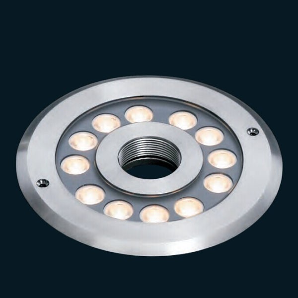 12x2w LED pool light