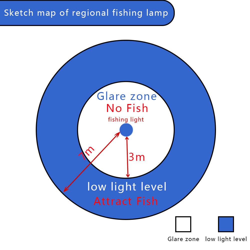 Where is the fish arround the fishing lamp